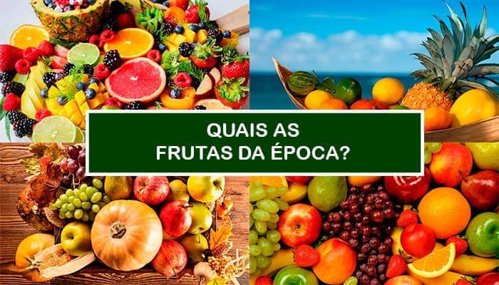 No momento você está vendo Você sabe Quais as Frutas da Época?