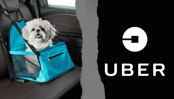 No momento você está vendo Uber aceita cachorros? Saiba mais sobre transporte de PET’s!