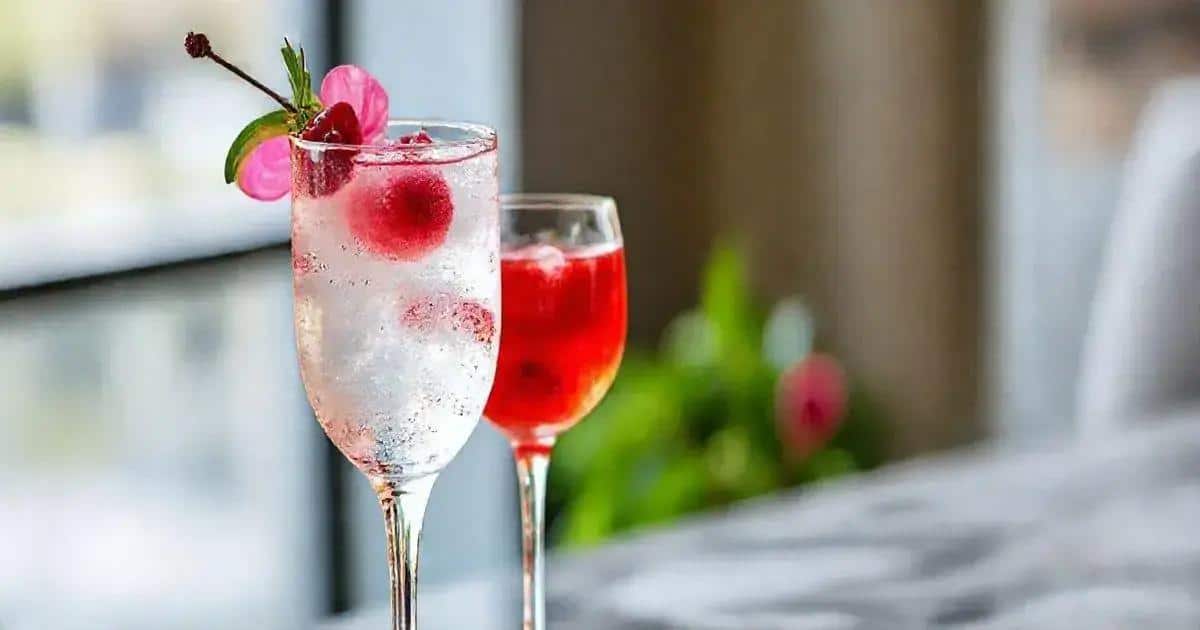 Leia mais sobre o artigo Vodka com Licor de Cassis e Espumante: O Brinde Perfeito para Celebrar