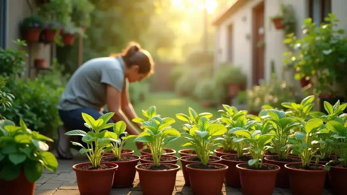 Importância de fazer mudas em casa