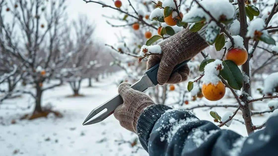 Importância da poda no inverno