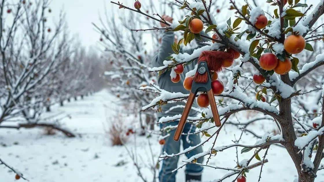 poda de inverno o metodo que faz suas arvores frutiferas produzirem 40 mais na proxima temporada