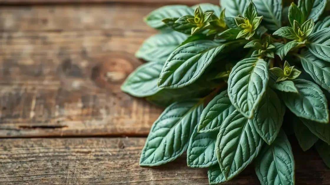 uma planta cheia de propriedades curativas