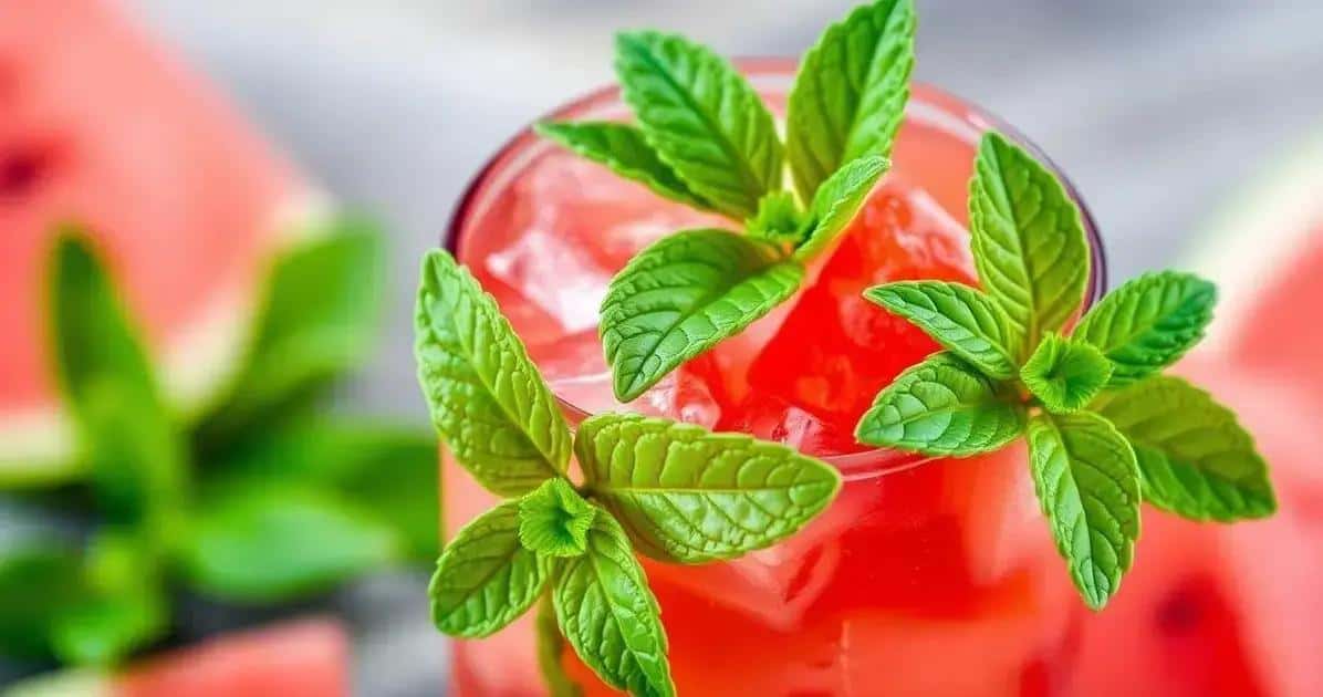 Receita rápida de ICE refrescante com melancia e hortelã