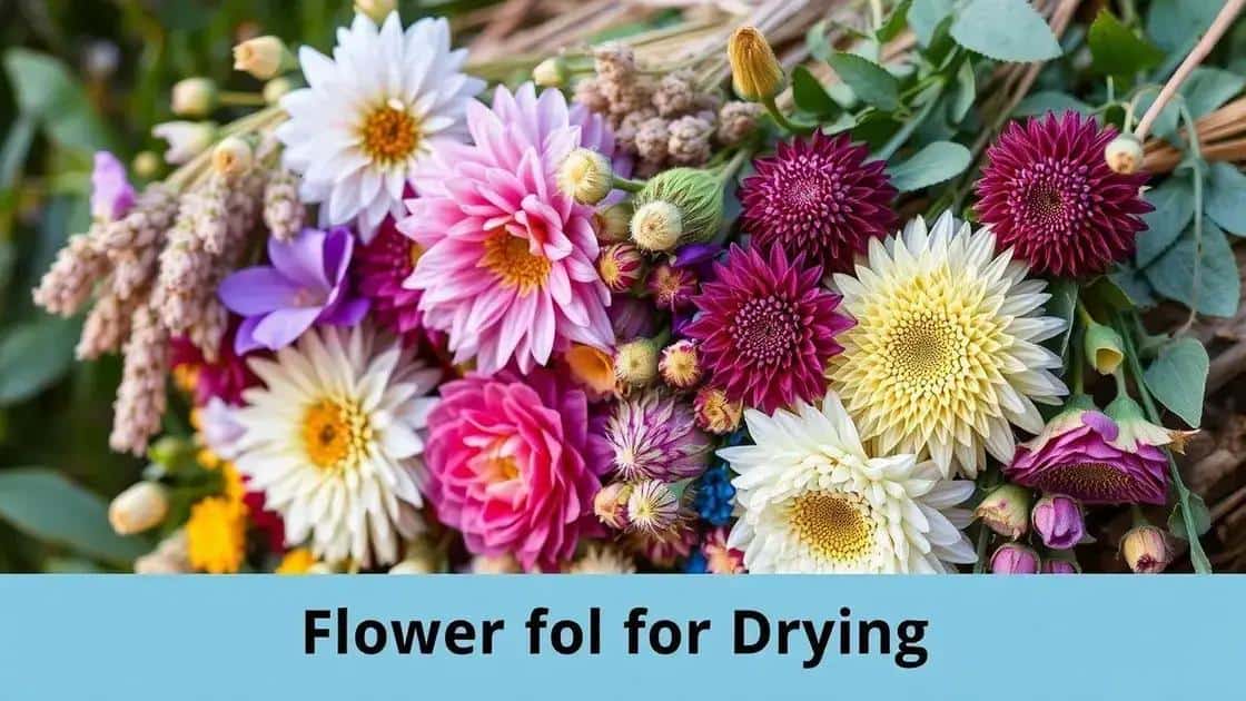 como escolher as flores ideais para secagem
