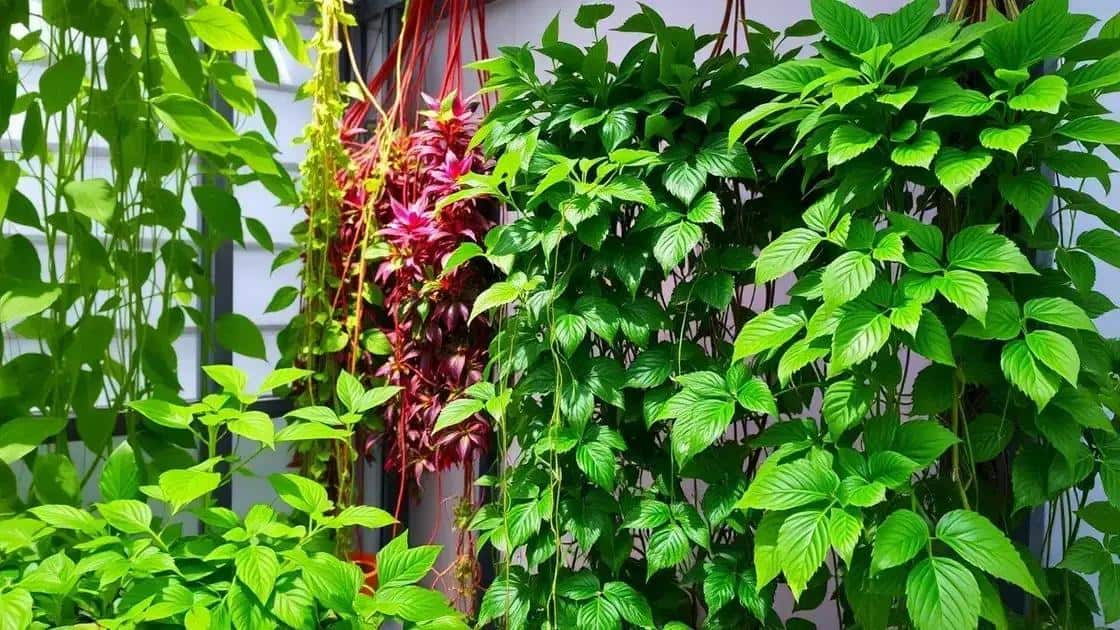 cuidados essenciais para manter sua cortina saudável