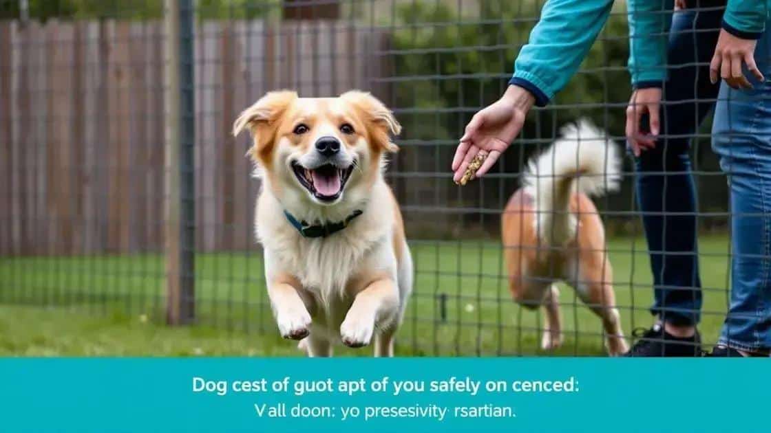 Como ensinar seu pet a respeitar a cerca