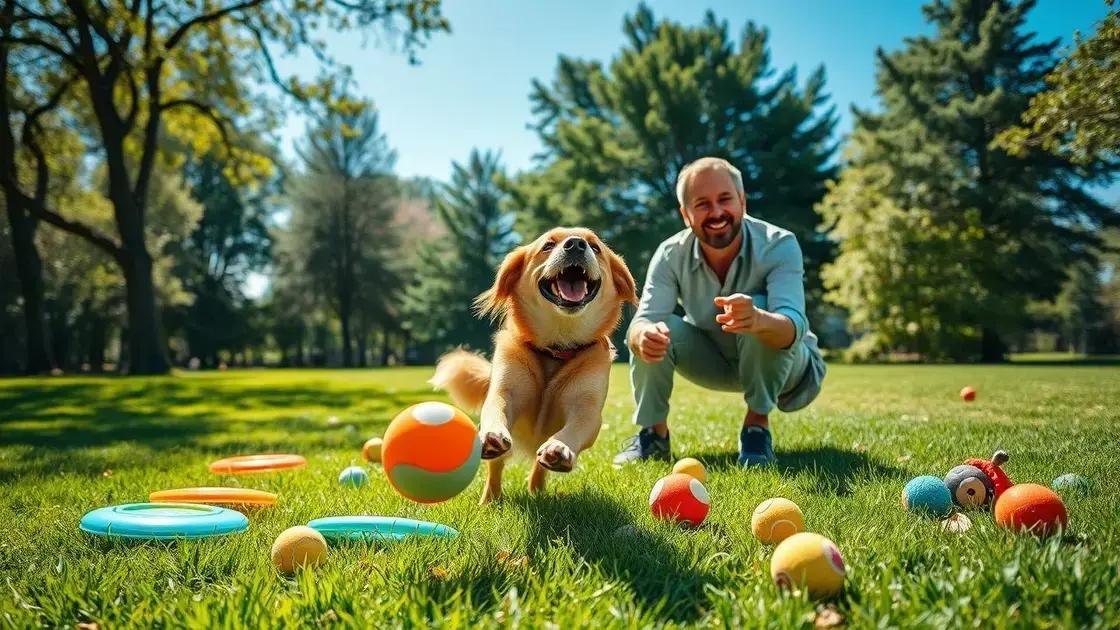 brincadeiras e exercícios gratuitos para pets