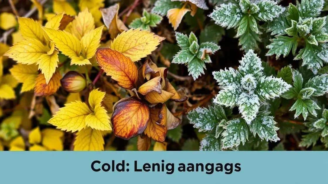sinais de que suas plantas estão sofrendo com o frio